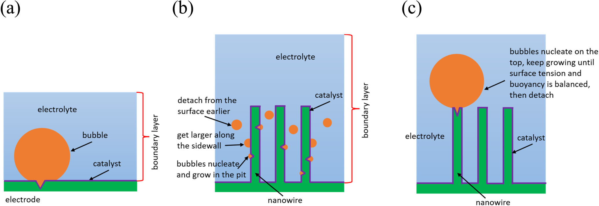 Numerical Simulation and Modeling of Hydrogen Gas Evolution on Planar ...