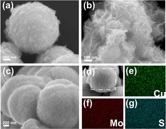 Core-Shell CuS@MoS2 Cathodes for High-Performance Hybrid Mg