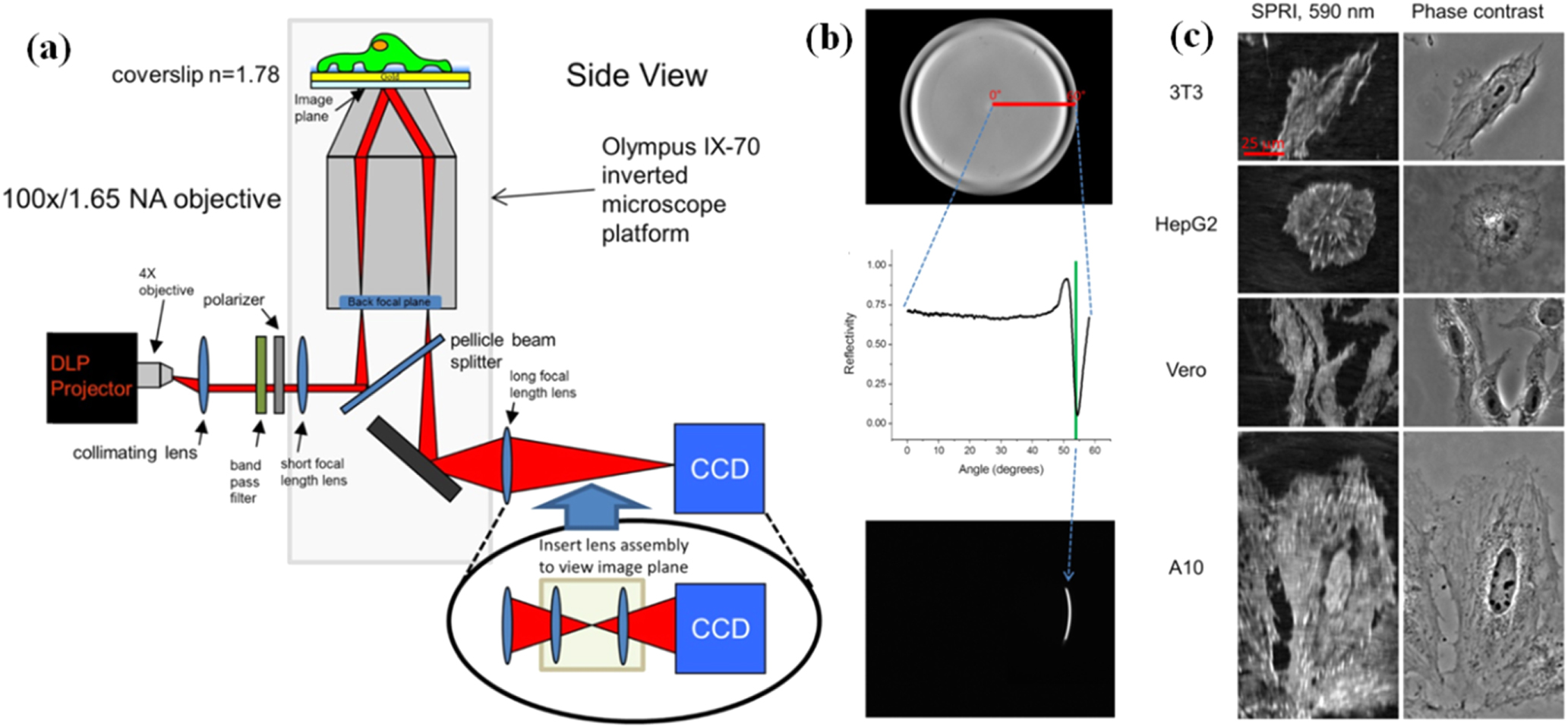 Review—Advances in Surface Plasmon Resonance Microscopy and Its ...