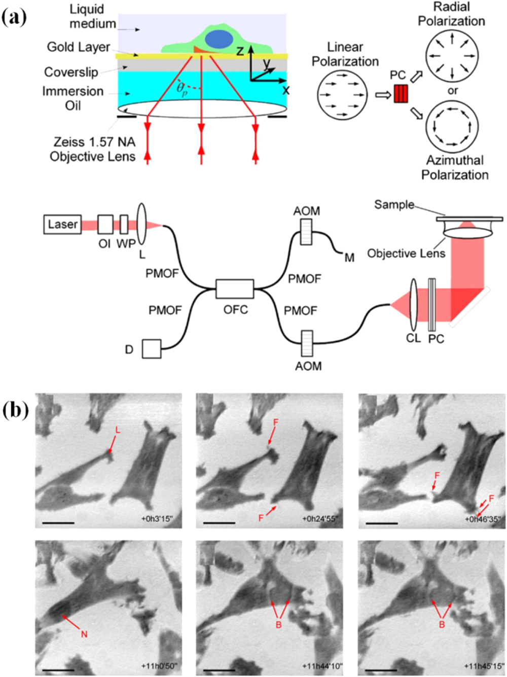 Review—Advances in Surface Plasmon Resonance Microscopy and Its ...