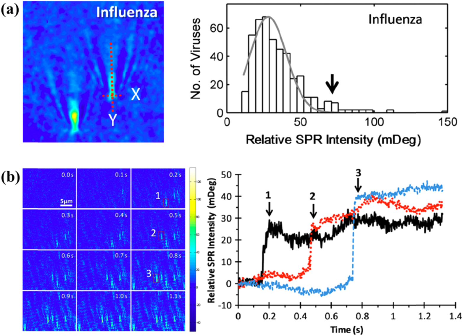 Review—Advances in Surface Plasmon Resonance Microscopy and Its ...