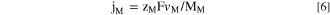 Equation (6)
