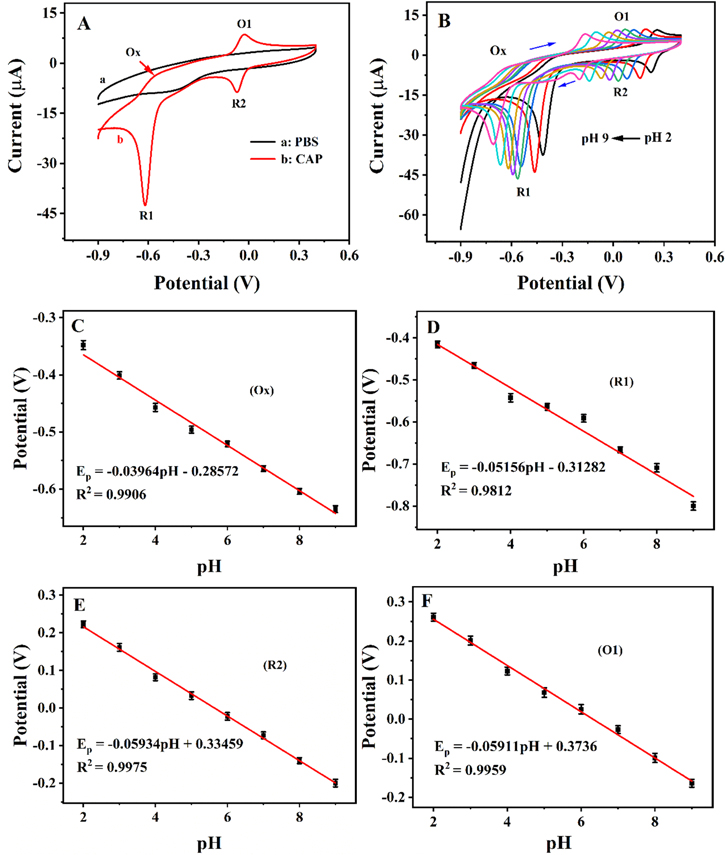 A Novel Electrochemical Strategy for Chloramphenicol Detection in a ...