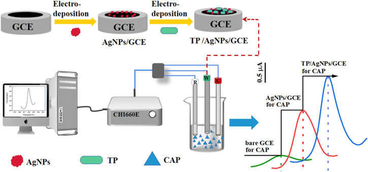 A Novel Electrochemical Strategy for Chloramphenicol Detection in a ...