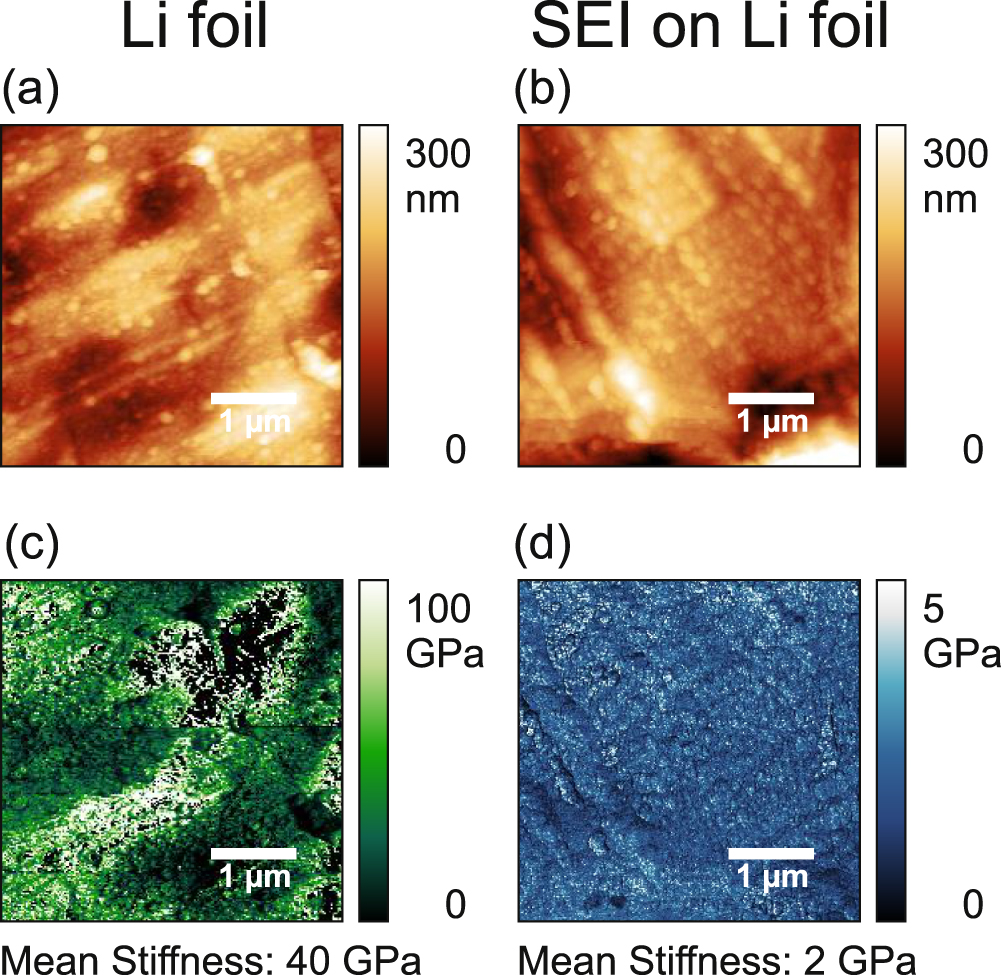 Mechanical Evolution of Solid Electrolyte Interphase on Metallic ...