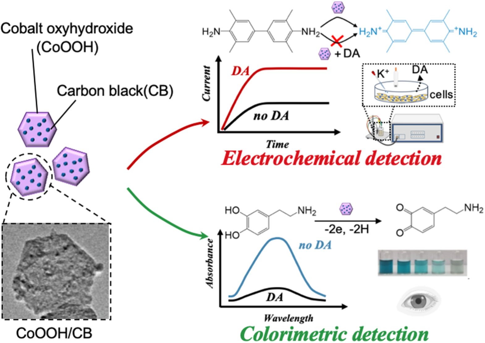 Dual-Signal Colorimetric and Electrochemical Sensor of Dopamine Based ...