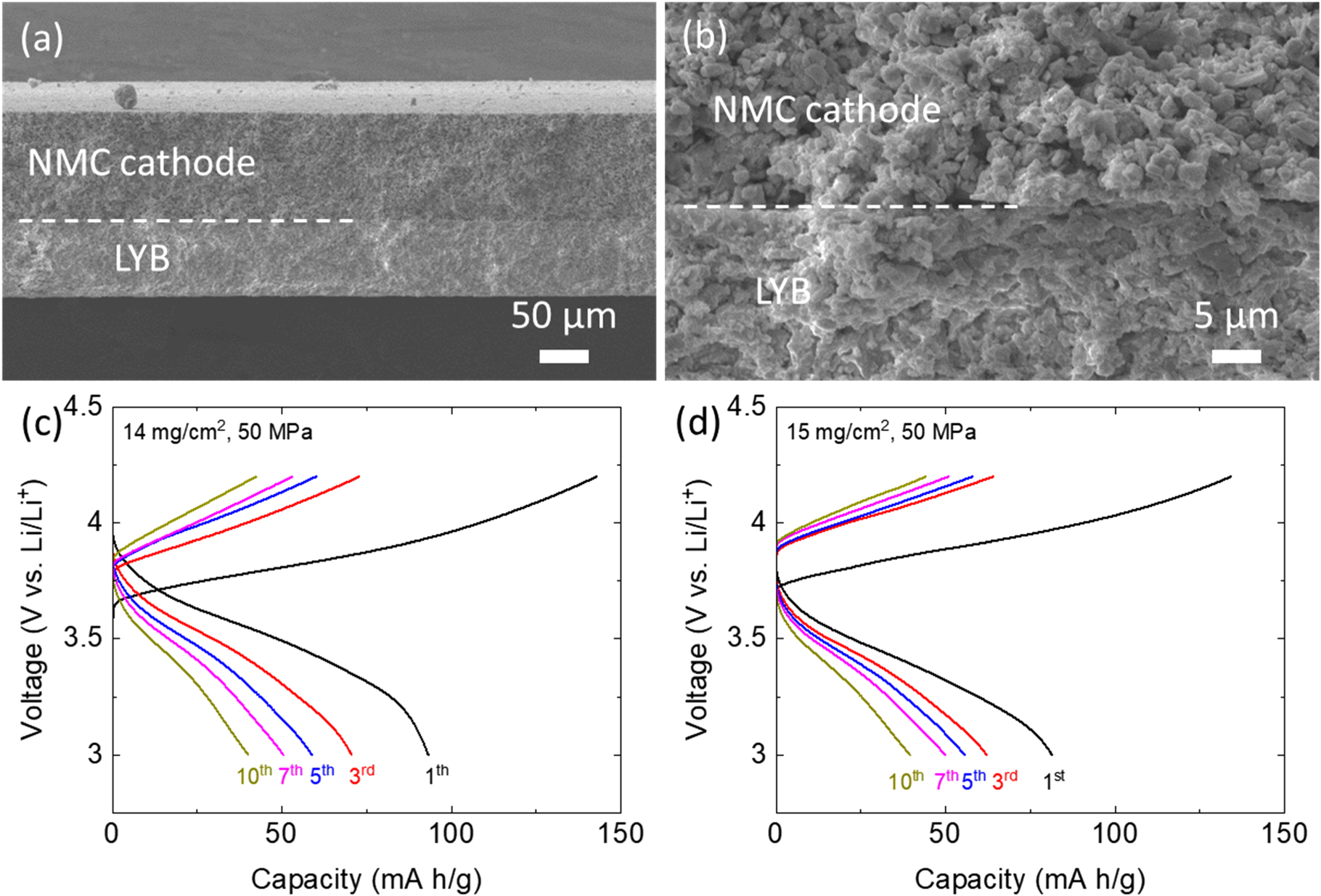 Fat Cathode Tape Casting of Thin Electrolyte and Thick Cathode for Halide-Based All ...