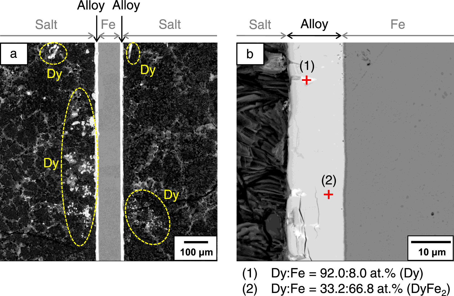 Electrochemical Formation of Dy–Fe Alloys in Molten LiF–CaF2–DyF3 ...