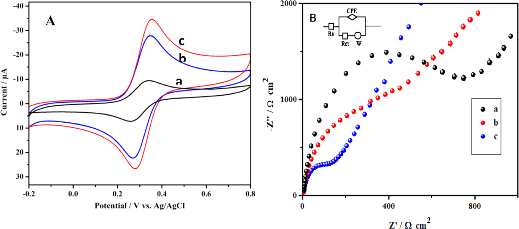 Electrochemical Sensor Based on N–Doped Carbon Nanodots Derived from ...