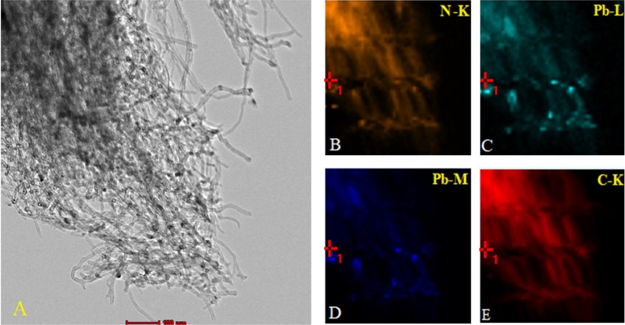 エル Nitrogen-doped carbide-derived carbon/carbon nanotube