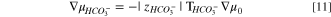 Equation (11)