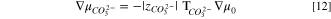 Equation (12)