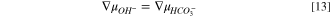 Equation (13)