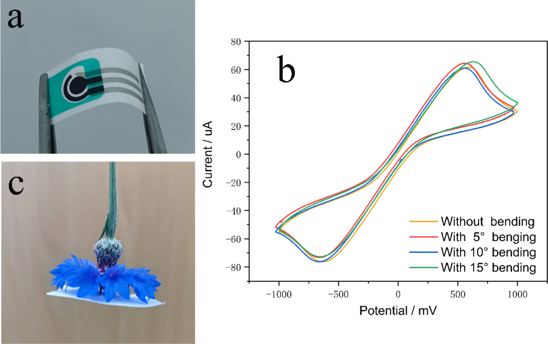 Wearable Electrochemical Biosensors for In Situ Pesticide Analysis from ...