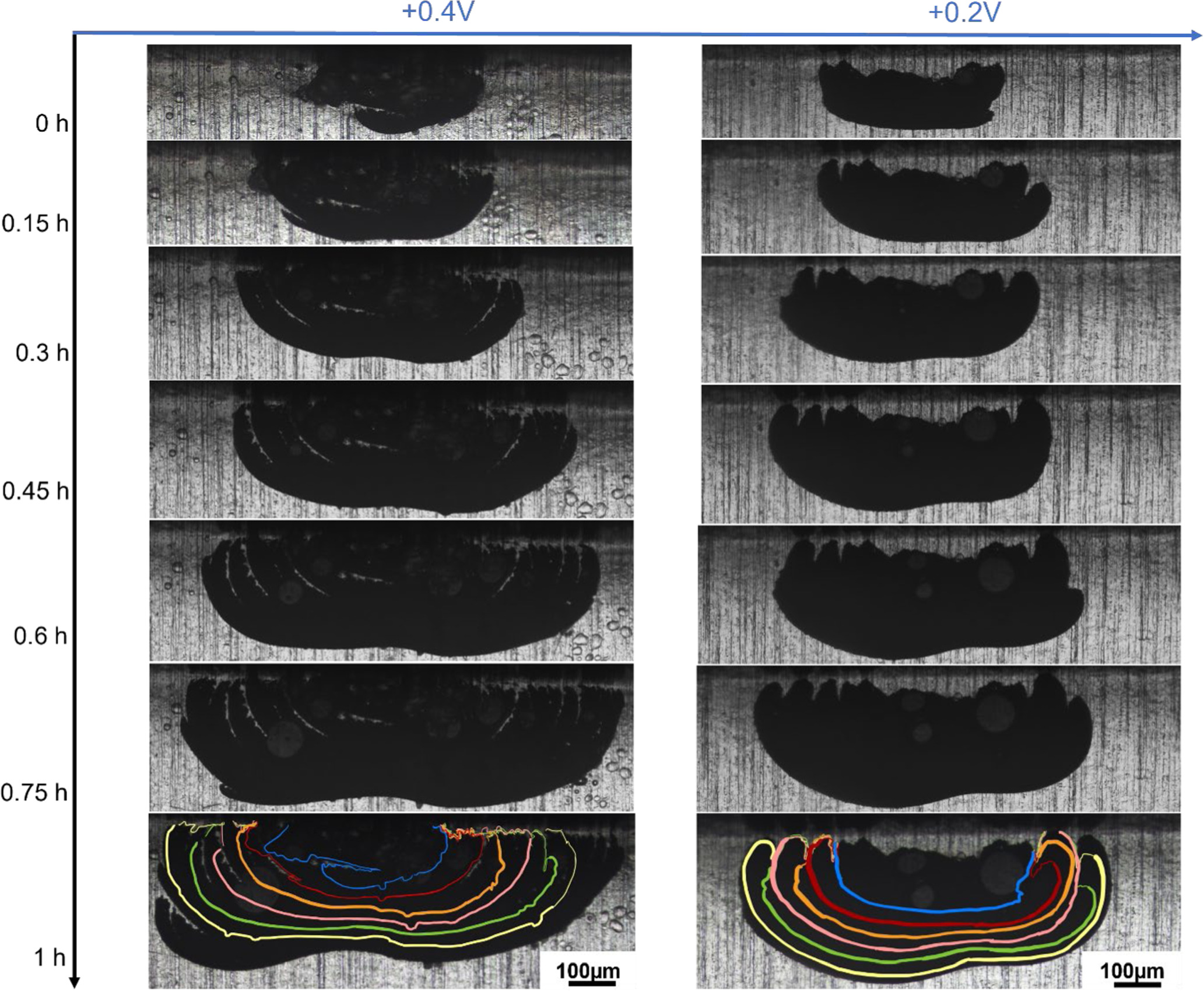 Understanding the Effect of Applied Current and Potential on Pitting in ...