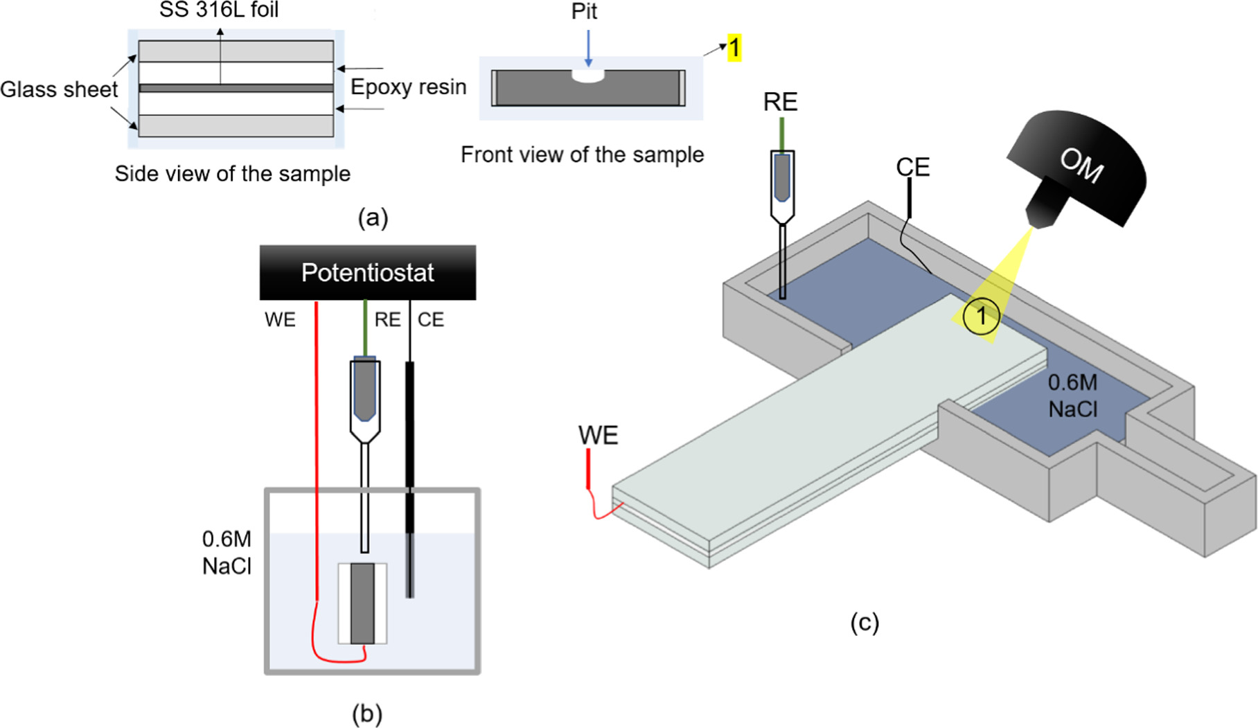 Understanding the Effect of Applied Current and Potential on Pitting in ...