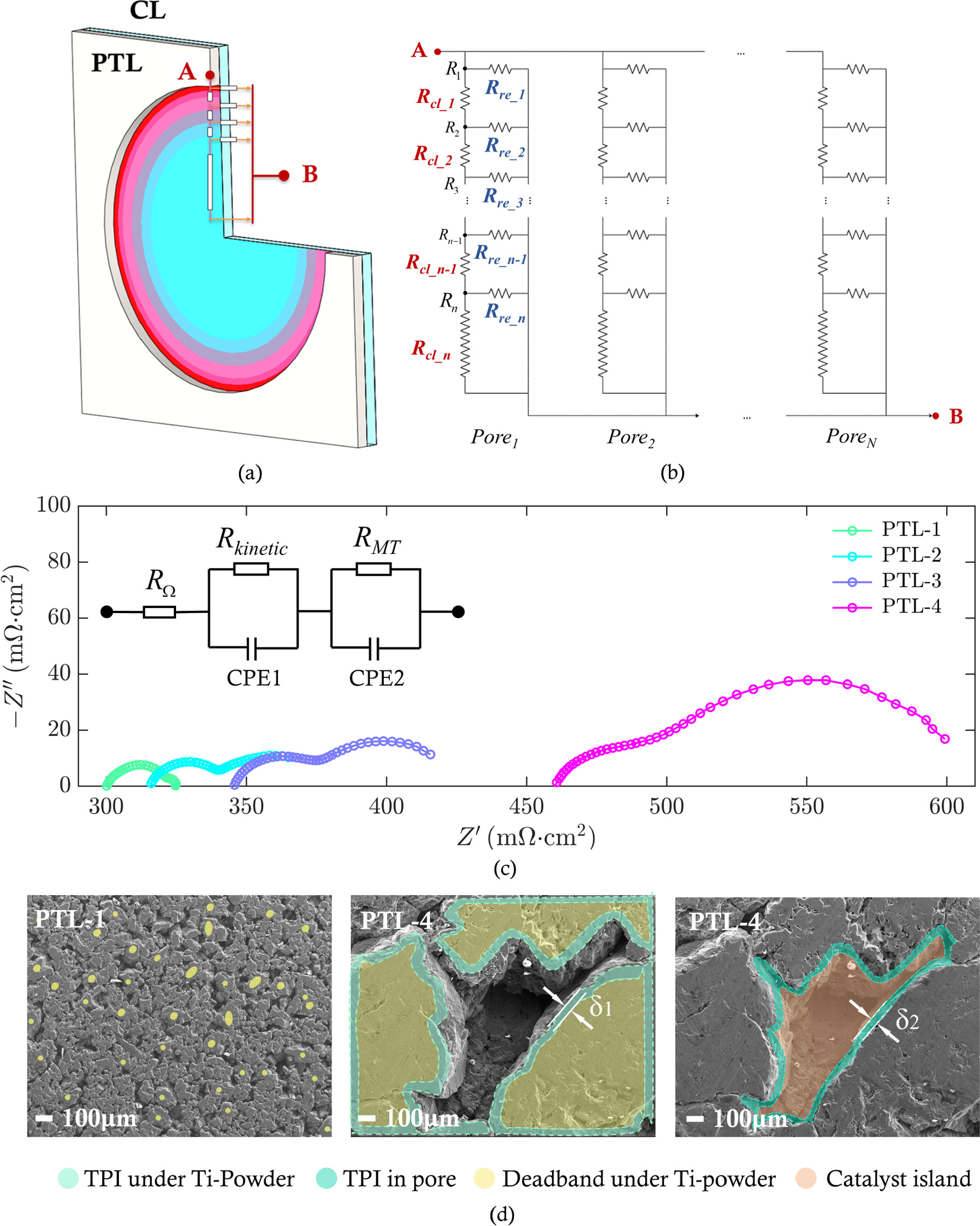 Exploring the Influence Mechanism of Porous Transport Layer Structure ...