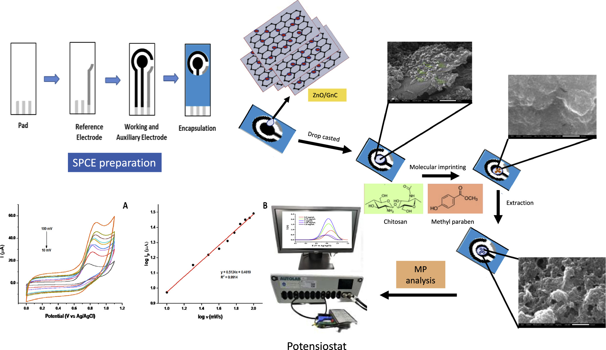 Chitosan-Based Molecularly Imprinted Polymer Modified Zinc Oxyde ...