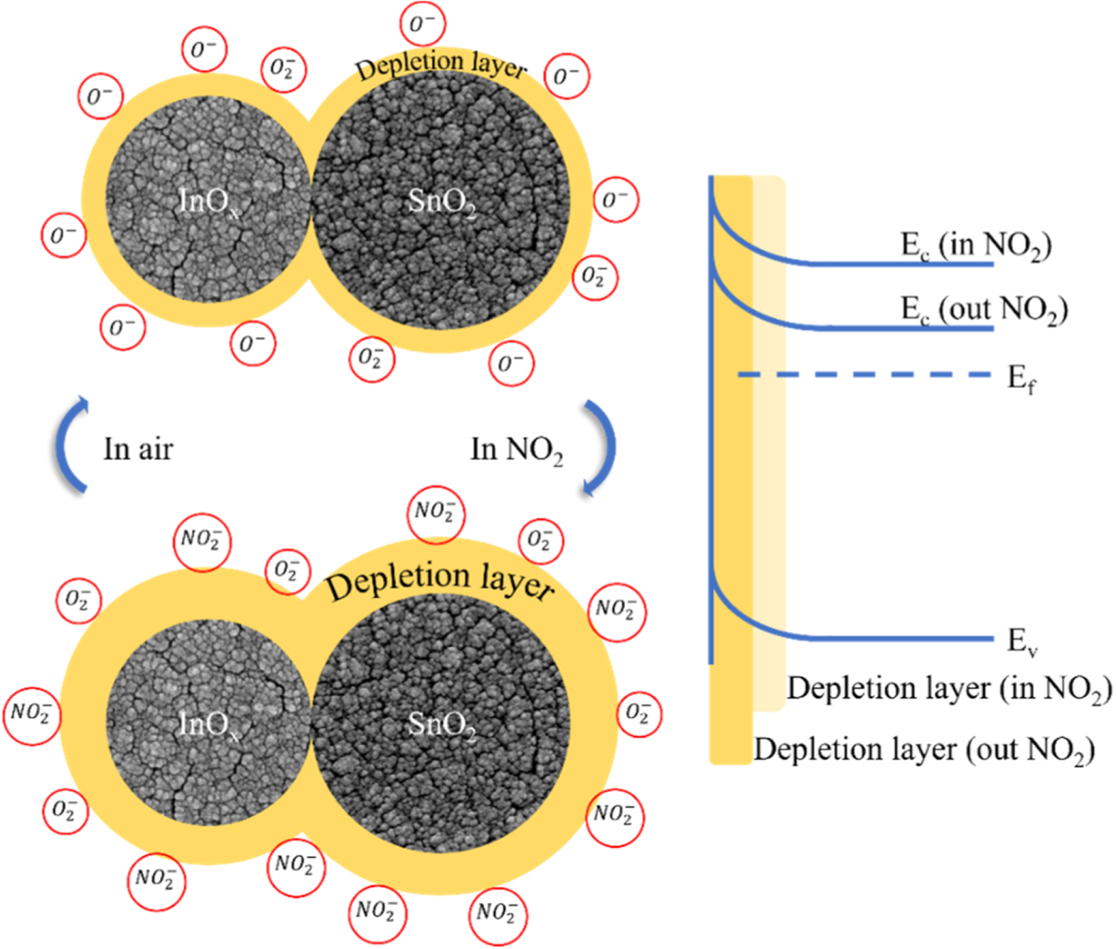 InOx Doped SnO2 Nanostructure Deposited on MEMS Device by PE-ALD ...