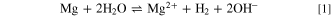 Equation (1)