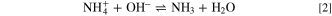 Equation (2)