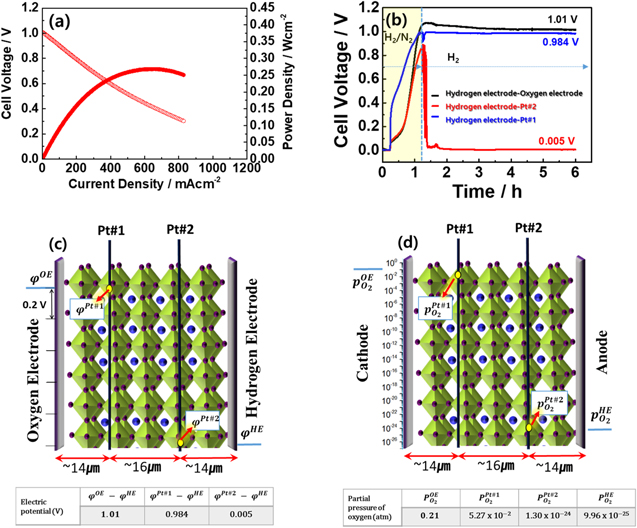 Understanding Chemo-Mechanical Stability of Protonic Ceramic Cells ...