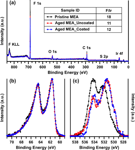 Degradation Effects at the Porous Transport Layer/Catalyst Layer ...