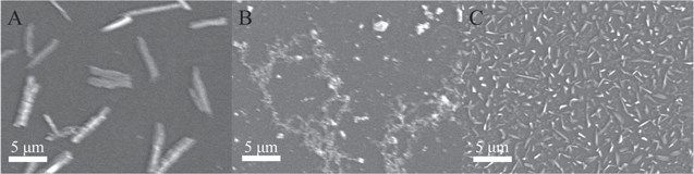 Pyralin Screen Pyronin Derivatives as Efficient Electrochemiluminescence Emitters in ...