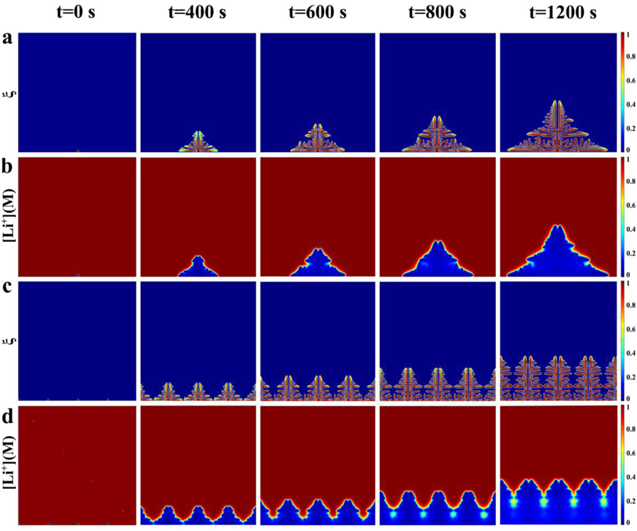 Effect of Major Factors on Lithium Dendrite Growth Studied by Phase ...