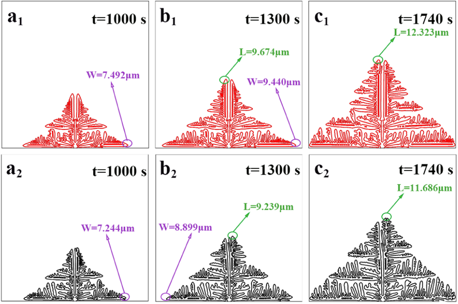 Effect of Major Factors on Lithium Dendrite Growth Studied by Phase ...