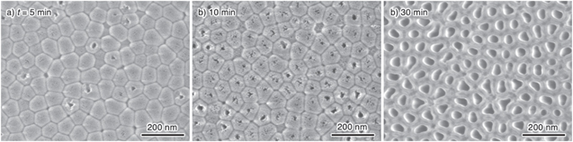 Electrochemical Separation of Porous Anodic Aluminum Oxide with Thick ...