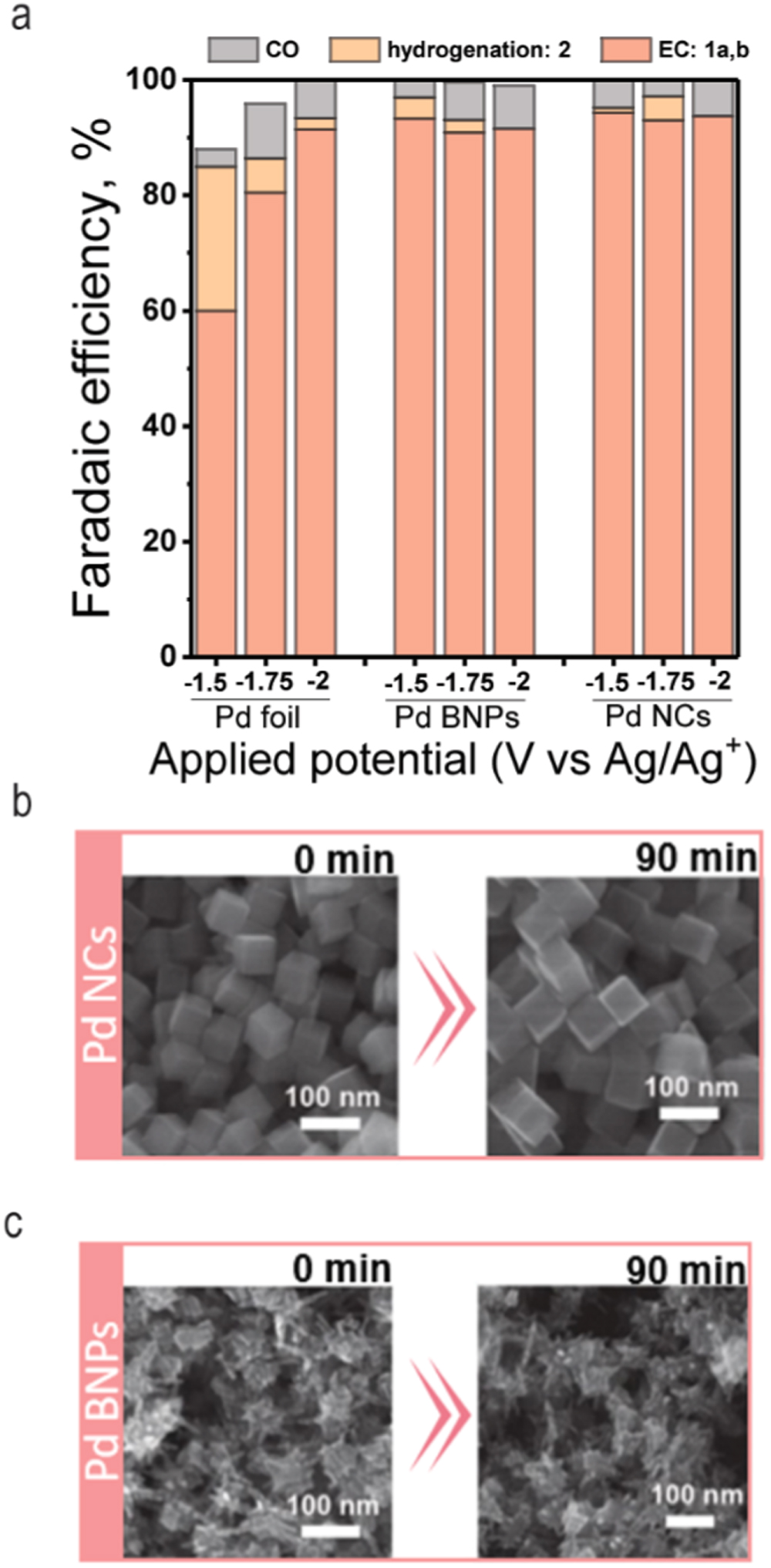 Synthesis of α-Amino Acids via Electrochemical Fixation of CO2 to ...