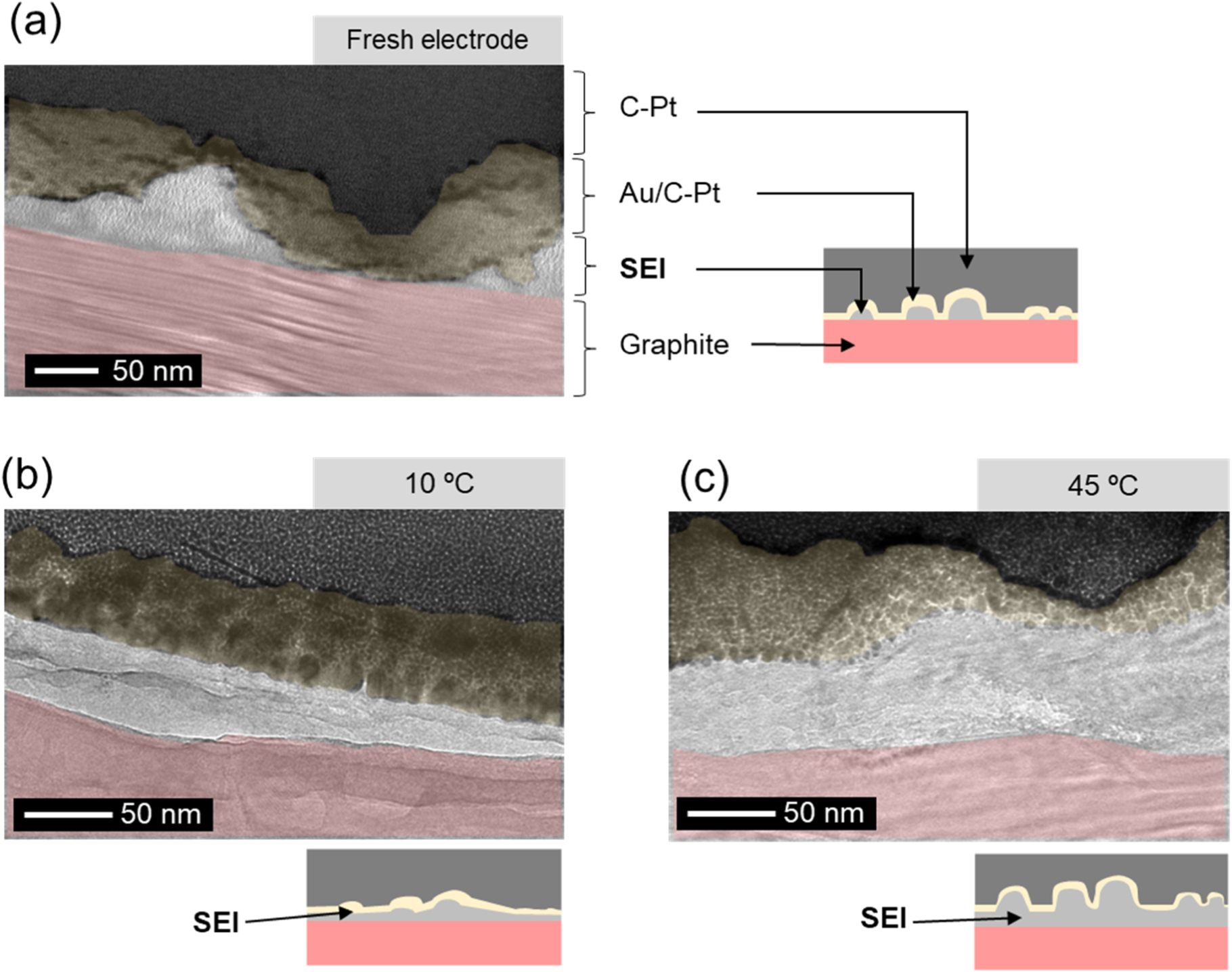 Exploring the Influence of Temperature on Anode Degradation in Cycling ...