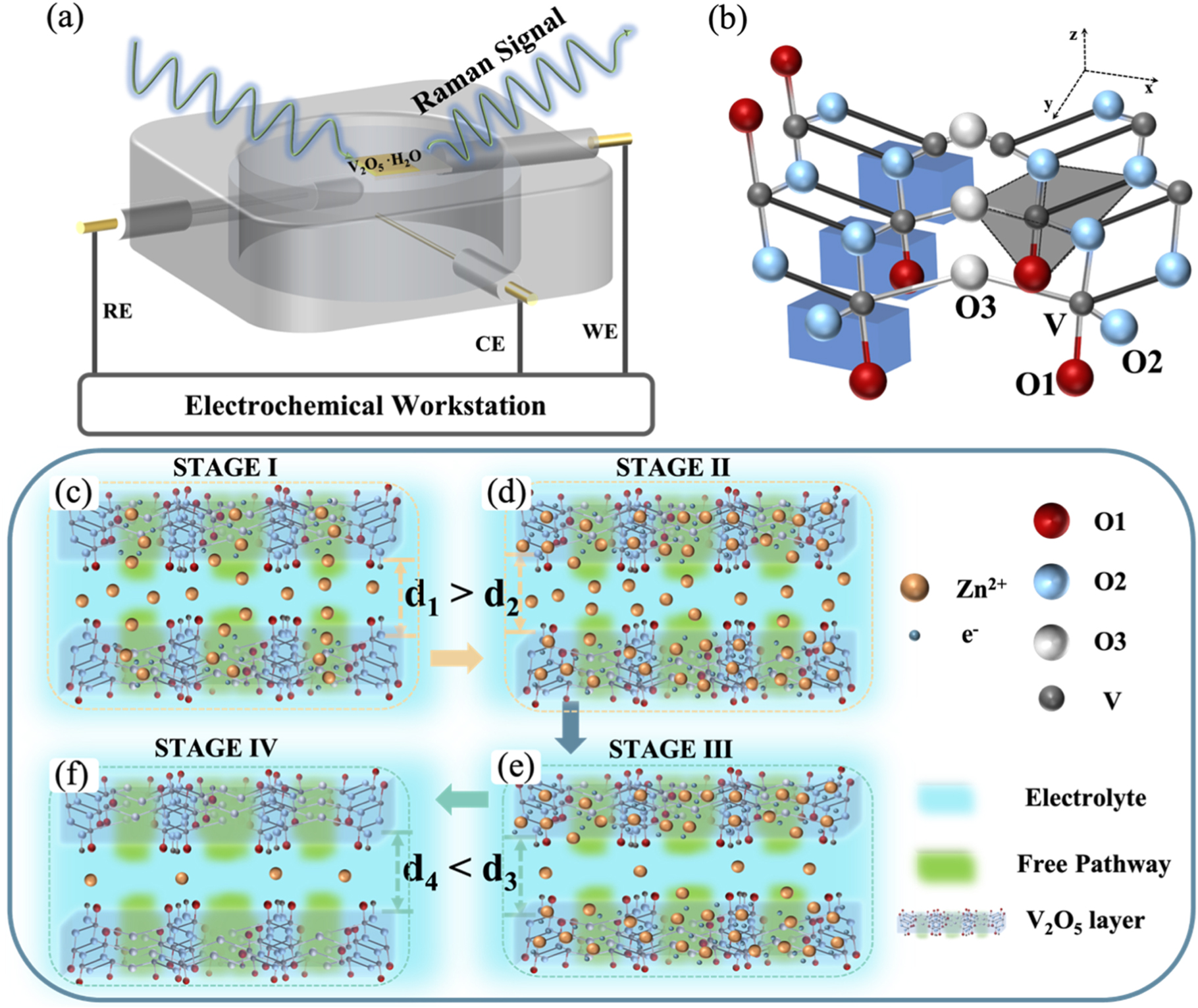 Zn2v2o7 Raman In Situ Raman Observation of Zinc-Induced Structural Dynamics and ...