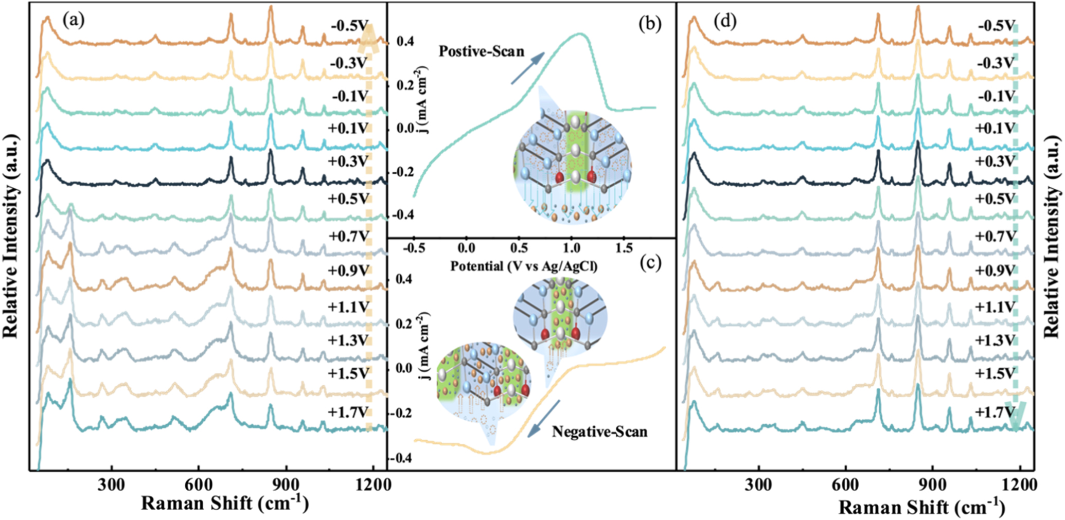 Nav2o5 Raman In Situ Raman Observation of Zinc-Induced Structural Dynamics and ...