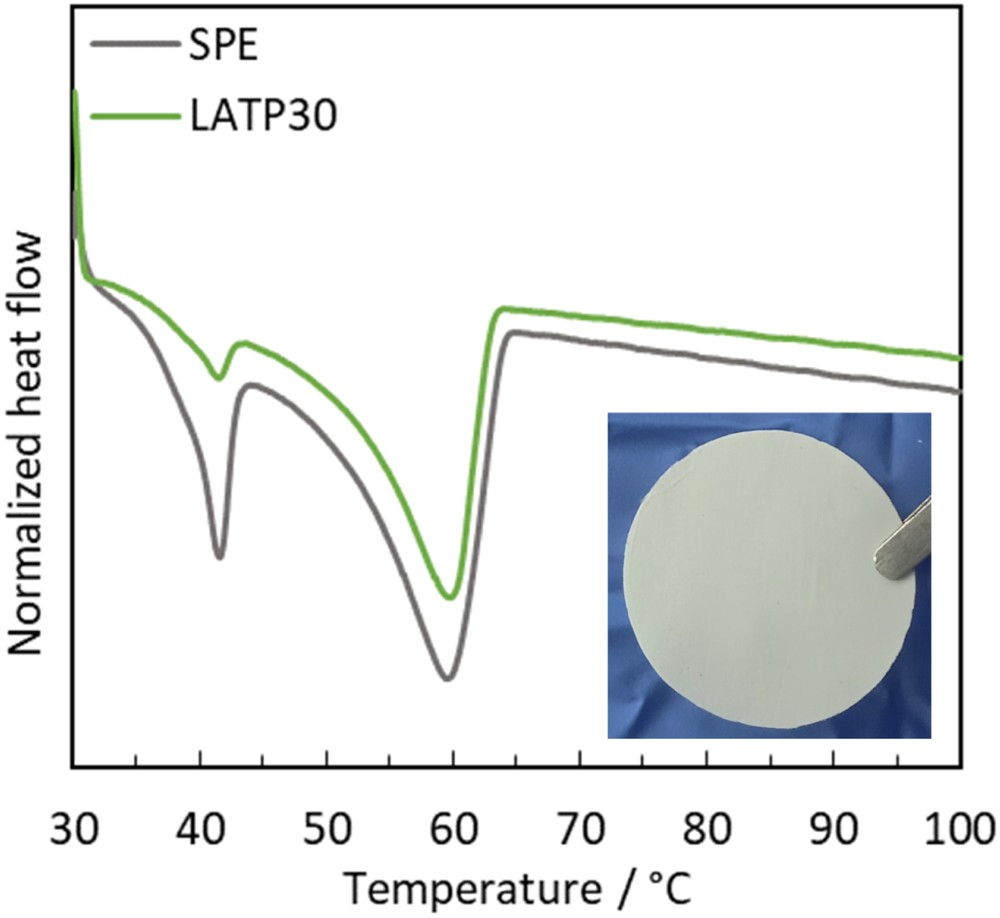 Understanding the Positive Effect of LATP in Polymer Electrolytes in ...