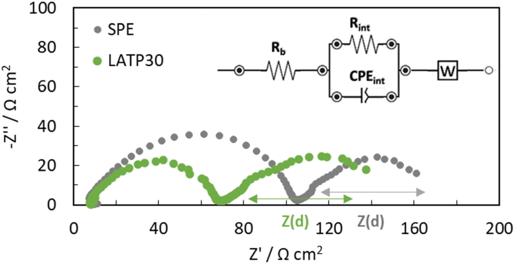 Understanding the Positive Effect of LATP in Polymer Electrolytes in ...