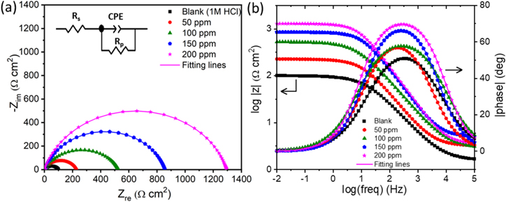 Experimental and DFT Atomistic Insights into the Mechanism of Corrosion ...