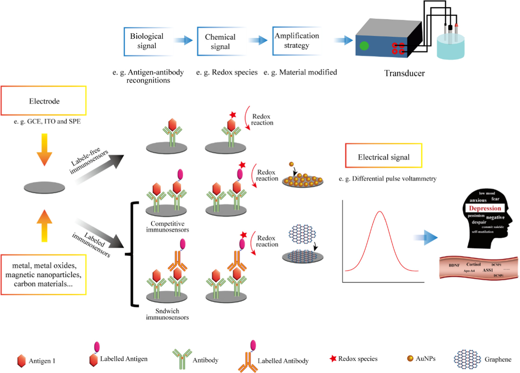 Review—Electrochemical Immunosensors for Depression Markers