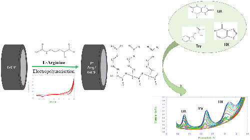 A Poly(L-Arginine)-Based Electrochemical Sensor for Simultaneous ...