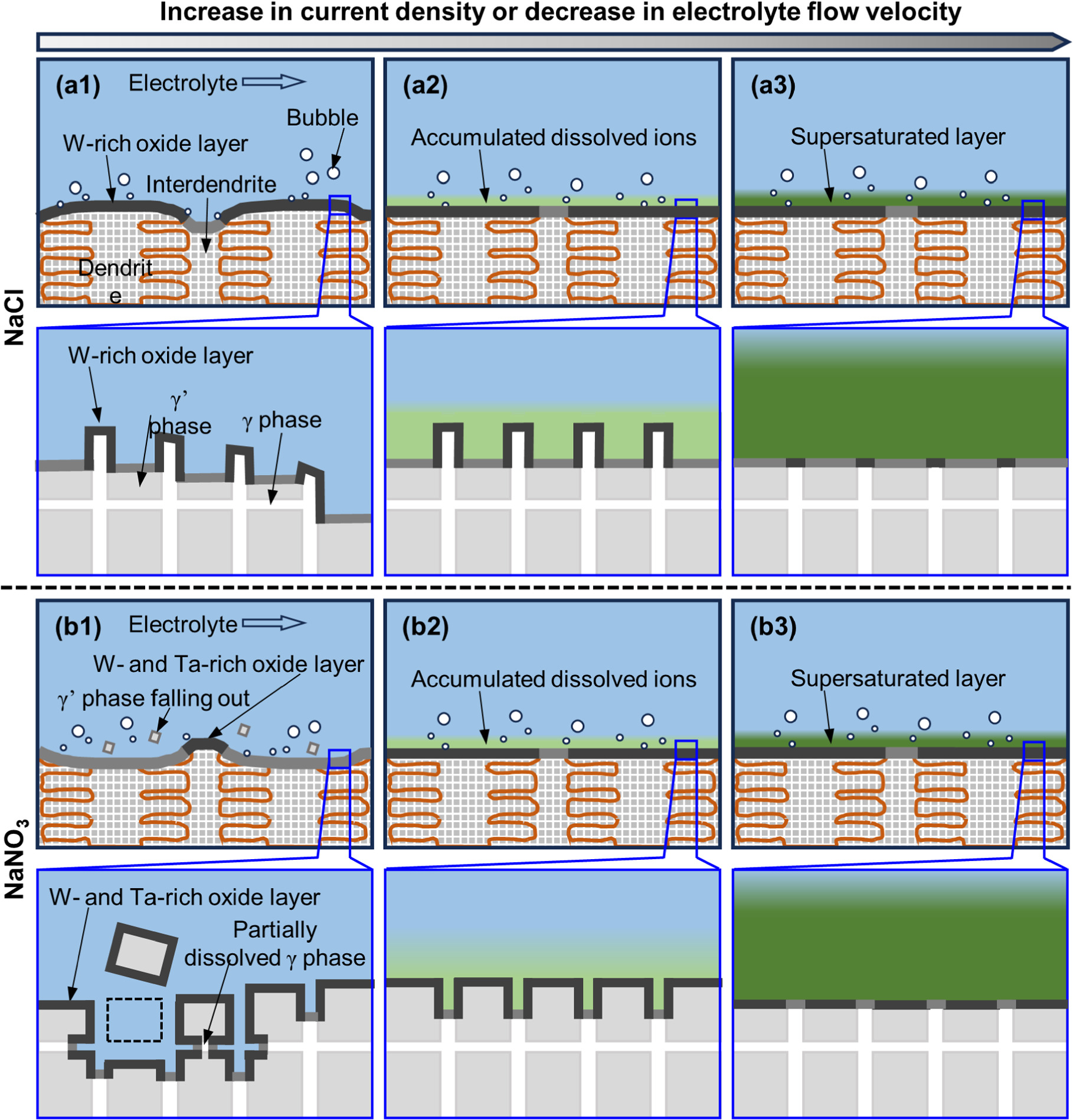 Dd6 Socket Anodic Dissolution Behavior of DD6 Nickel-Based Single Crystal ...