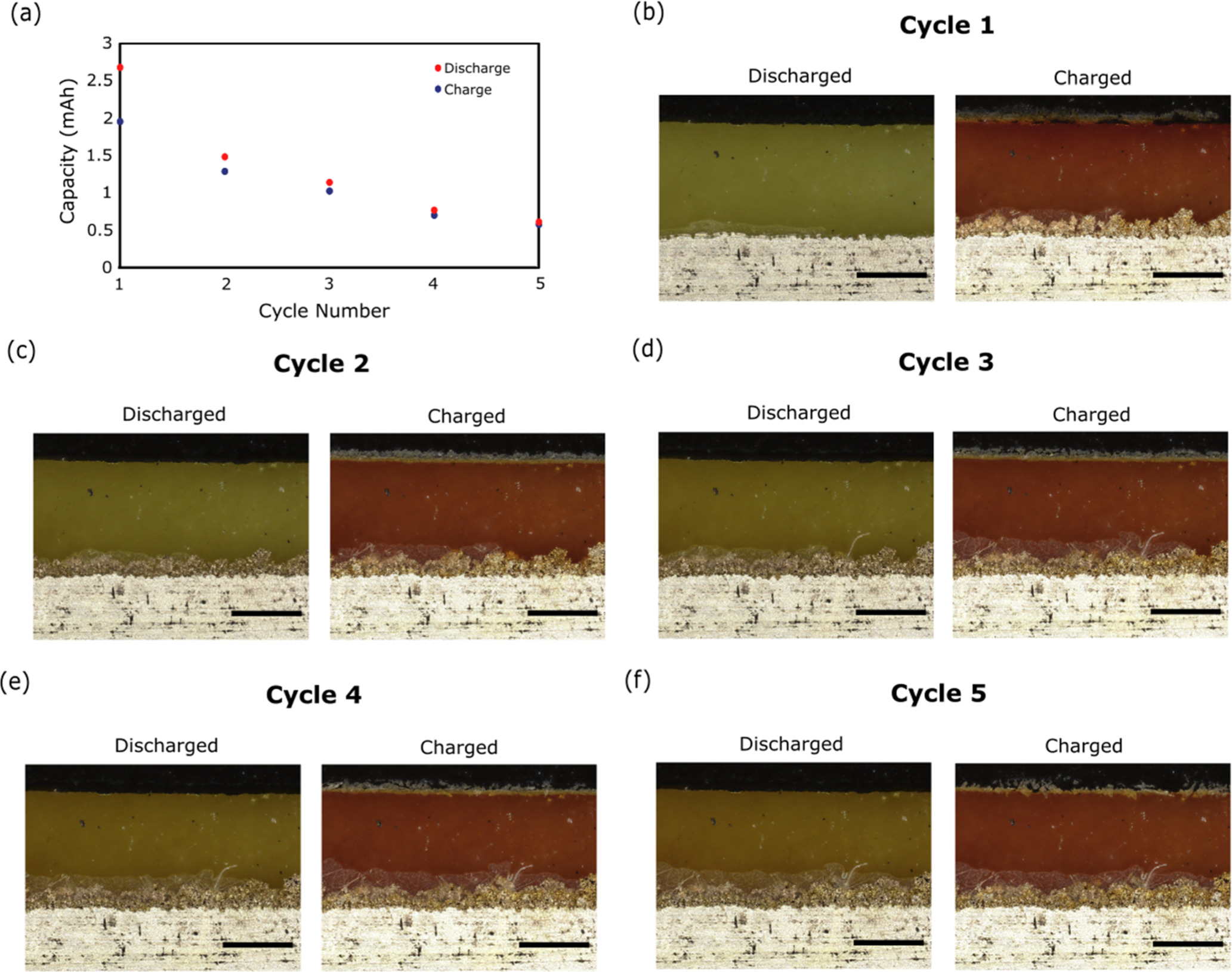 Operando Optical Microscopy Visualising the Effect of Areal Current Density on the Performance and ...