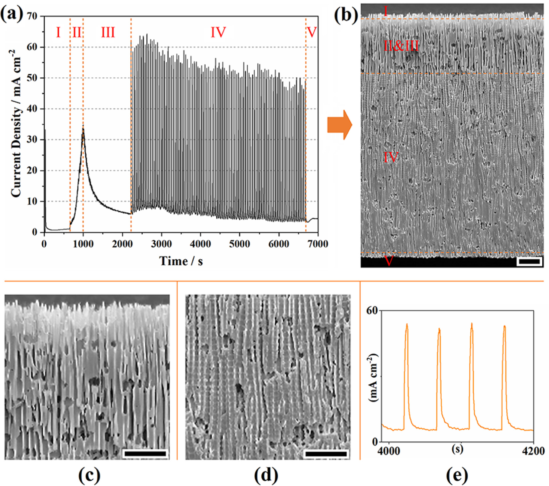 Synthesis of Porous Anodic Alumina Featuring a Periodic Pore