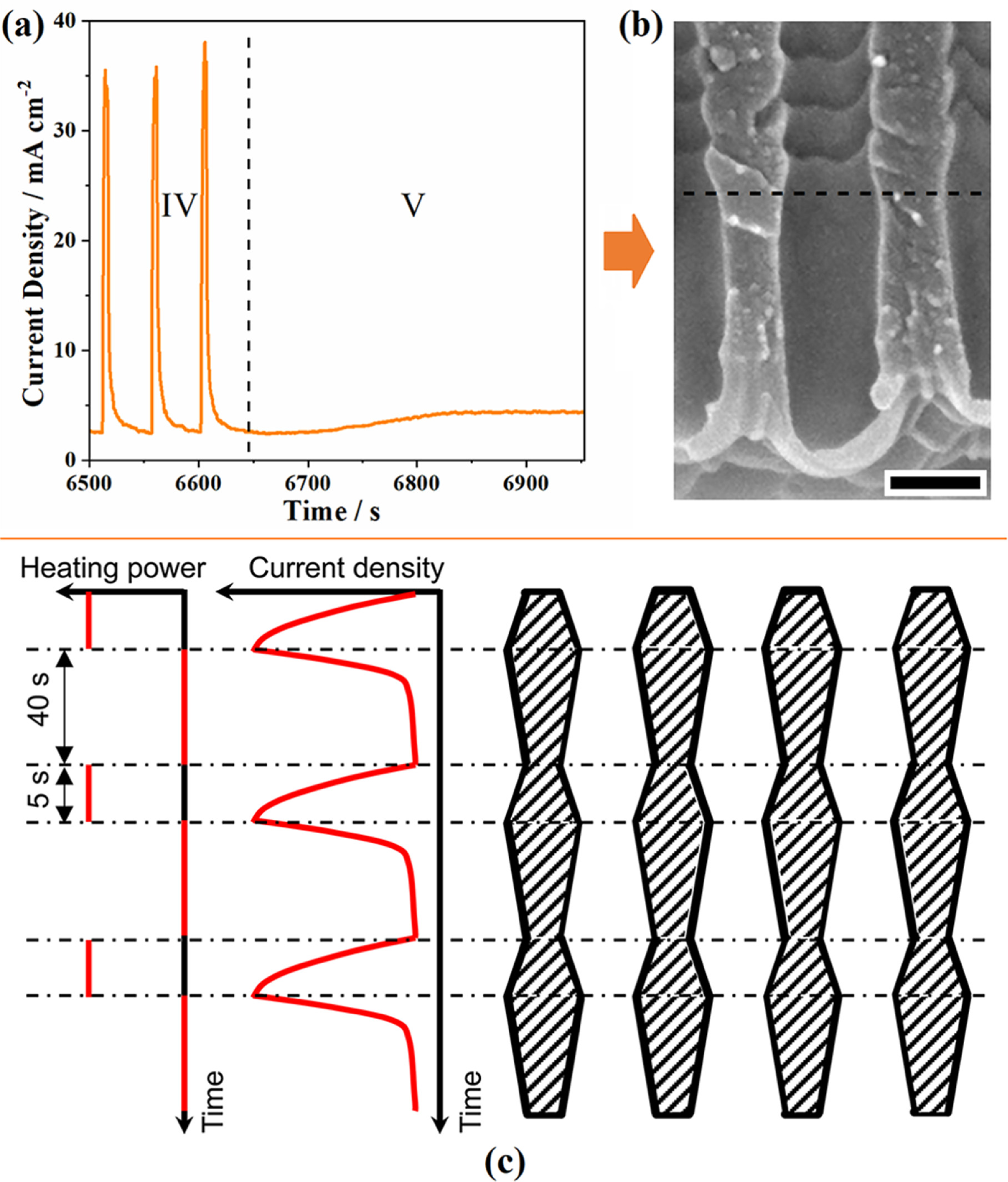 Synthesis of Porous Anodic Alumina Featuring a Periodic Pore Structure ...