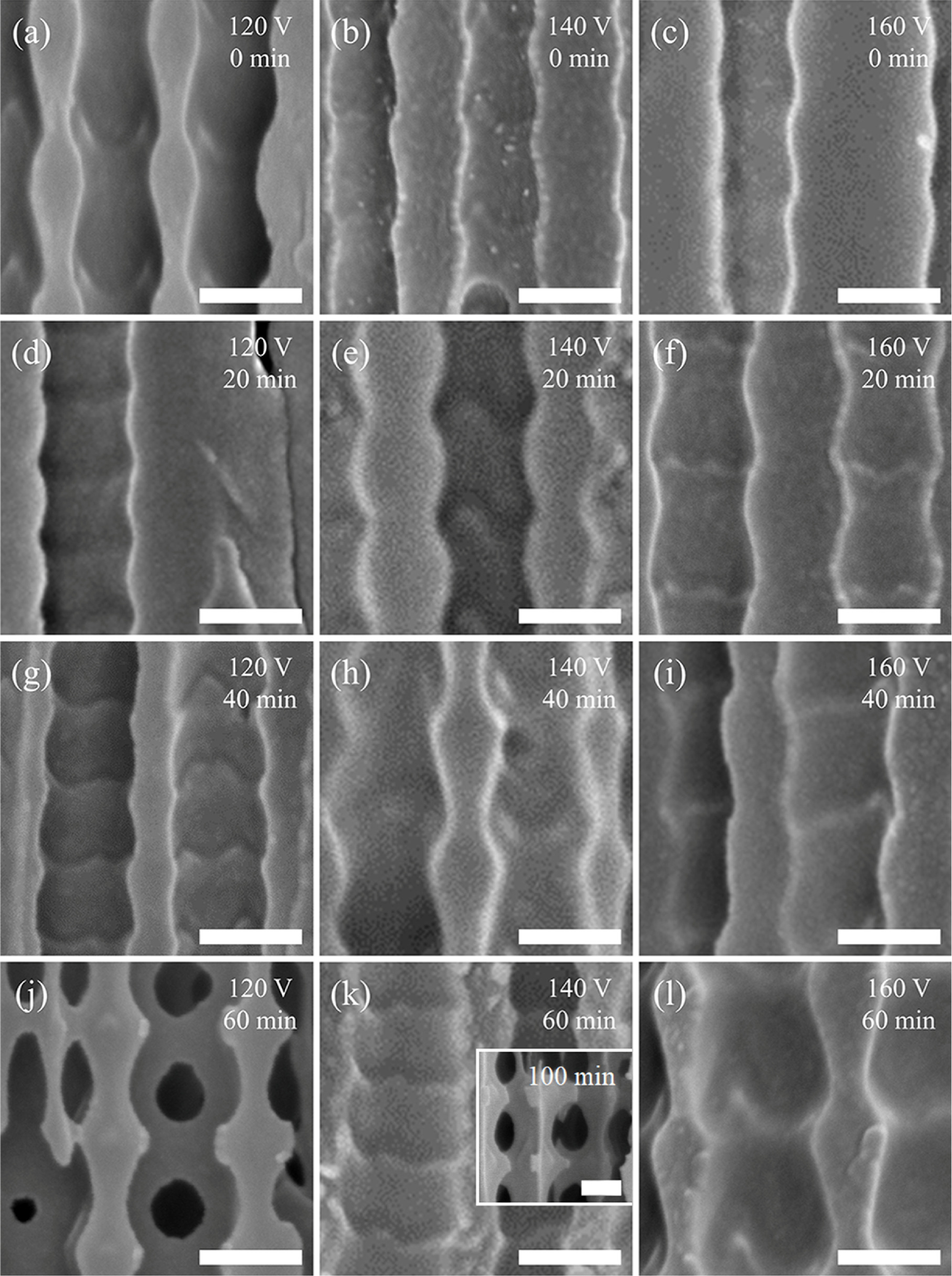 Synthesis of Porous Anodic Alumina Featuring a Periodic Pore