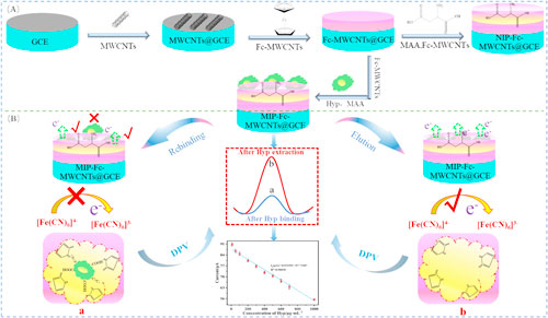 A Molecularly Imprinted Electrochemical Sensor Based on Fc-MWCNTs for ...
