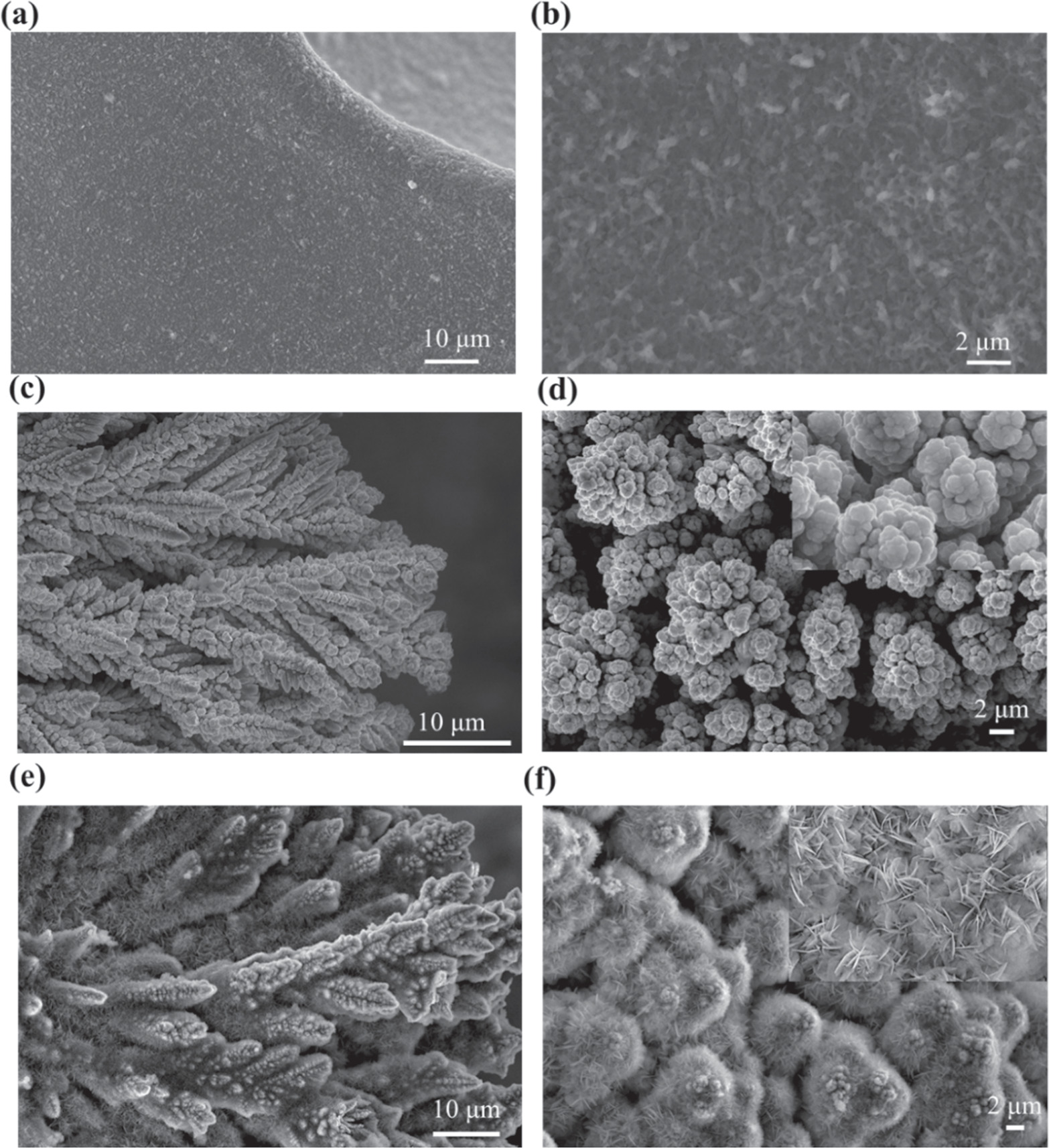 Highly Efficient and Stable Overall Water Splitting Electrocatalyst α ...