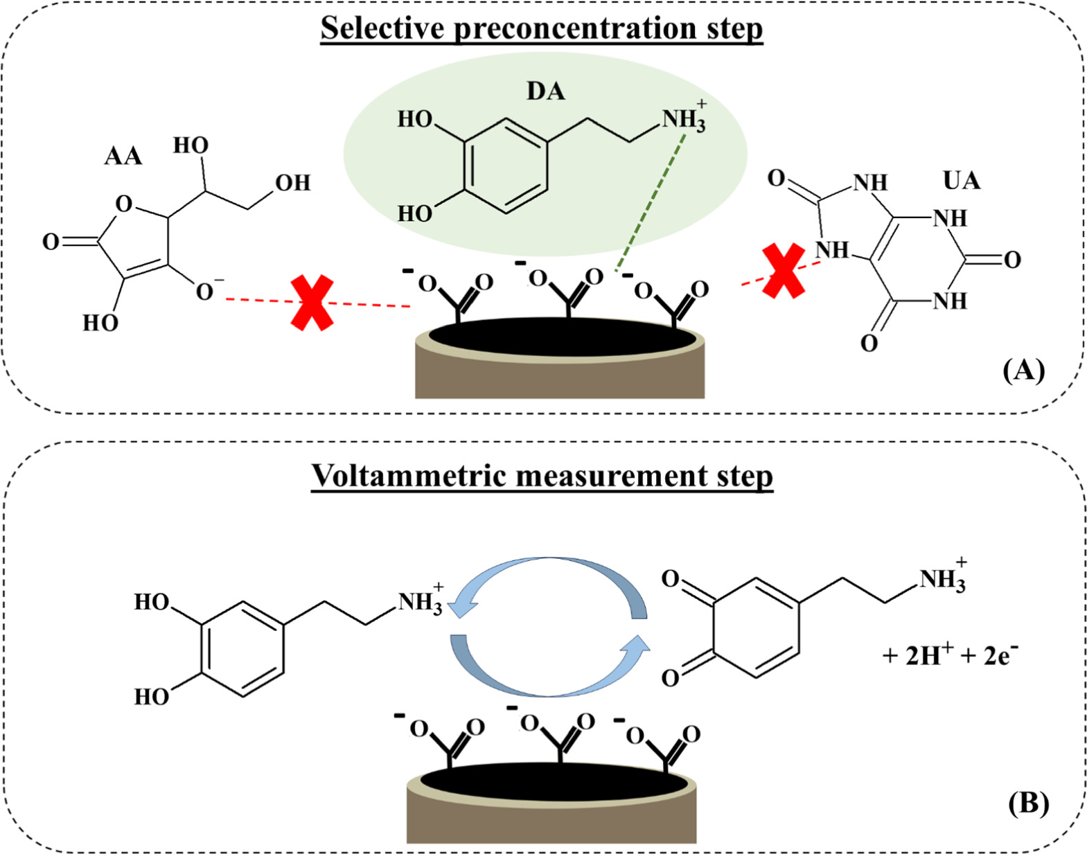 Voltametric Determination of Dopamine in Urine Samples Using Biochar ...