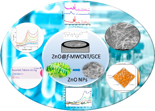 Porous Zinc Oxide and Functionalized Multiwalled Carbon Nanotubes ...