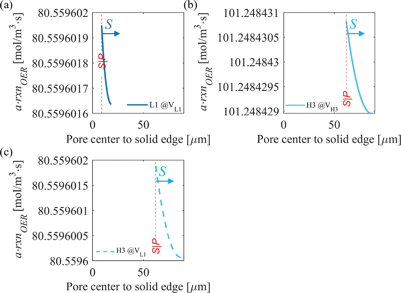Influence of the Complex Interface between Transport and Catalyst Layer ...